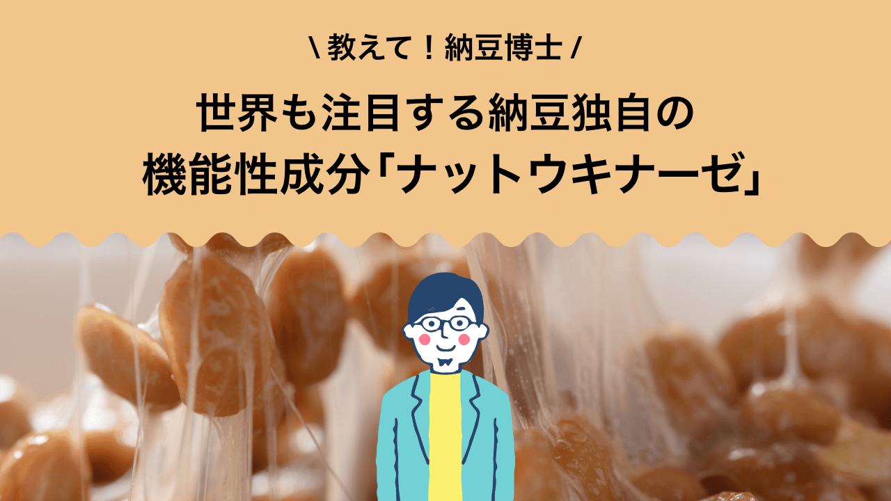 世界も注目する納豆独自の機能性成分「ナットウキナーゼ」 | sonomonoLabo(ソノモノラボ)