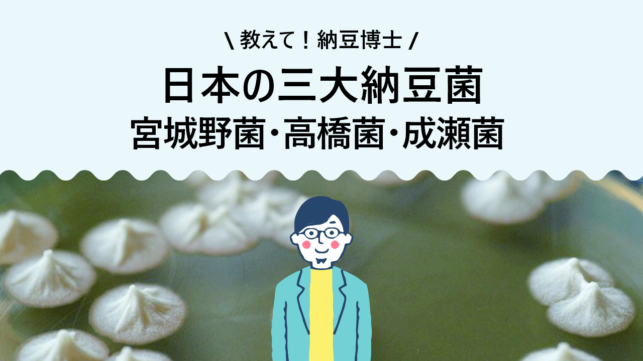 日本の三大納豆菌 宮城野菌・高橋菌・成瀬菌